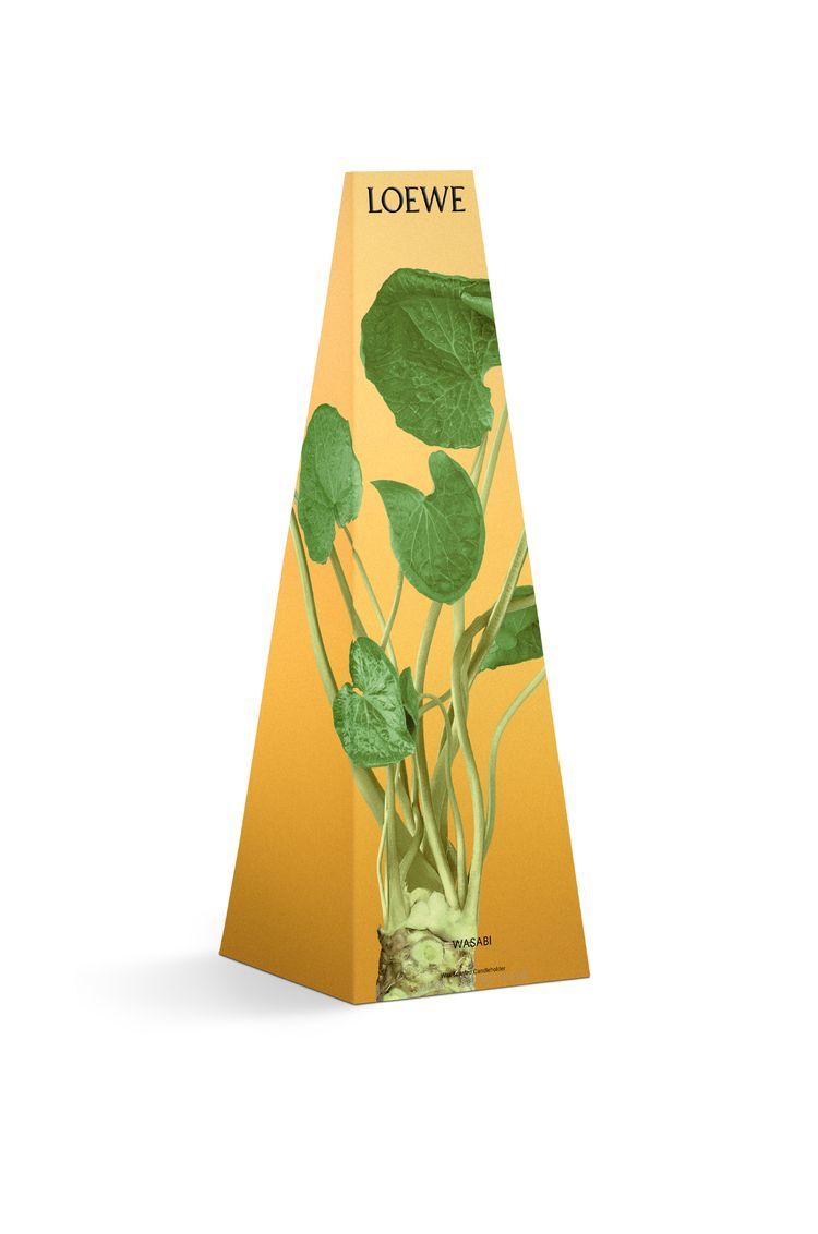 Wasabi wax candleholder