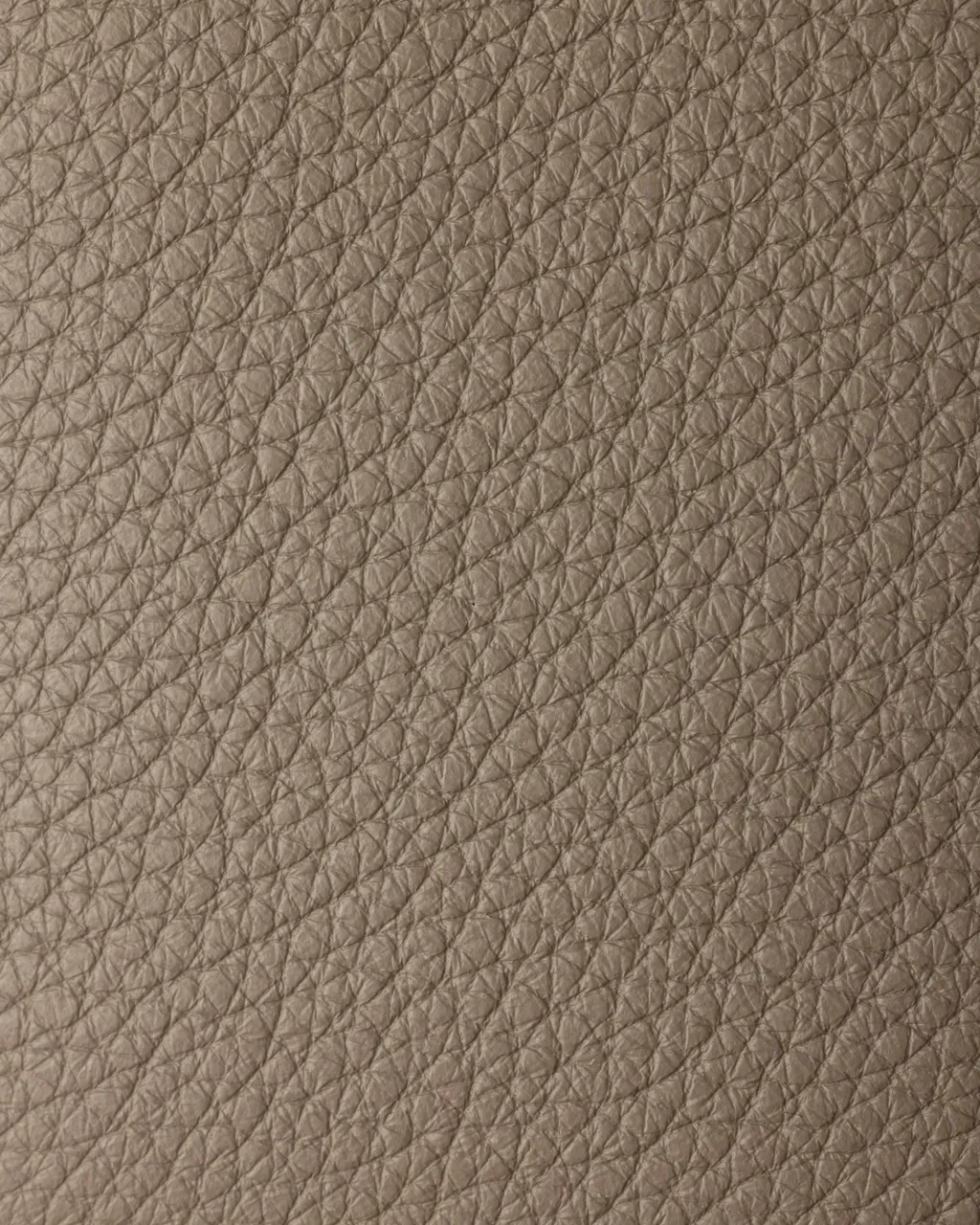 Small Leather Shoulder Bag
