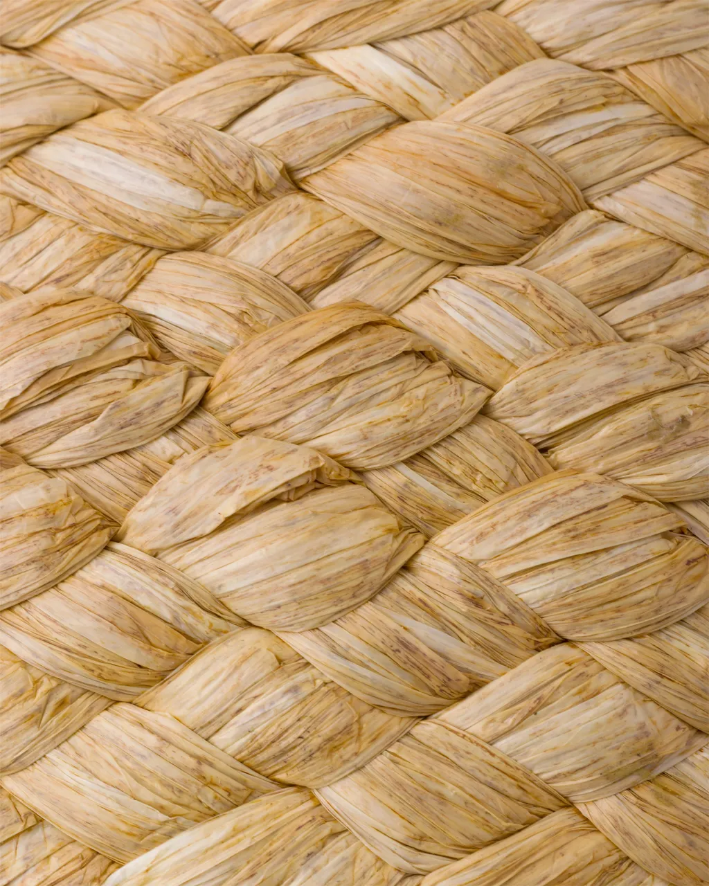 Raffia Slides