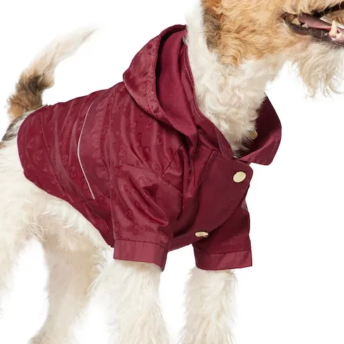 Gg Nylon Pet Rain Coat
