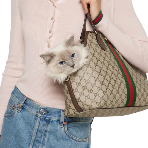 Gg Monogram Small Pet Tote Bag