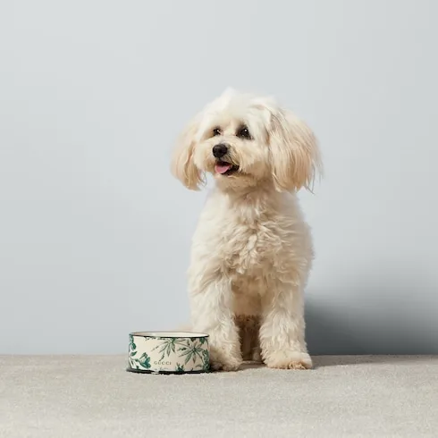 Small Herbarium Print Pet Bowl