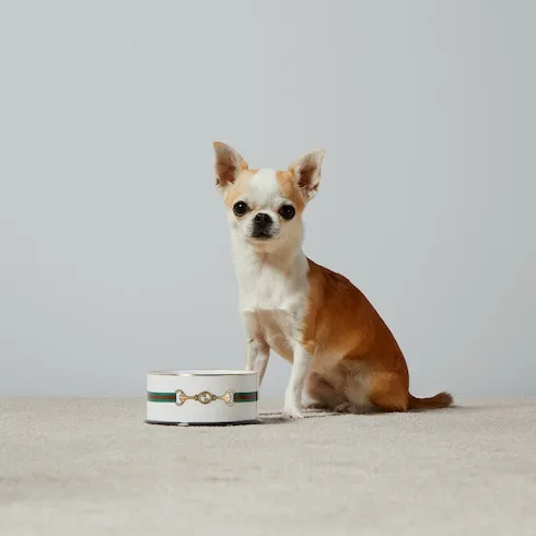Small Horsebit Print Pet Bowl