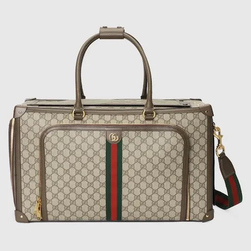 Pet Carrier With Web
