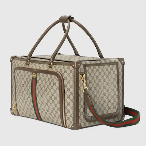 Pet Carrier With Web
