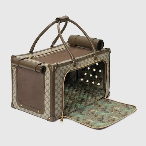 Pet Carrier With Web