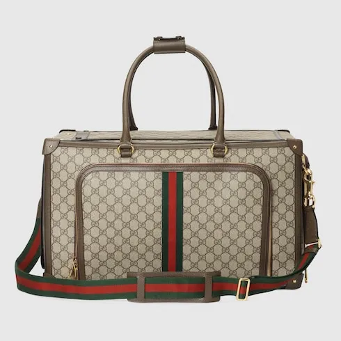 Pet Carrier With Web