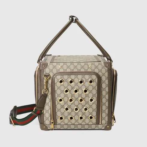 Pet Carrier With Web