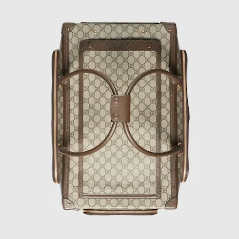 Pet Carrier With Web