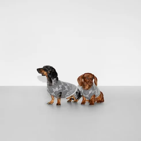 Wool Jacquard Pet Jumper