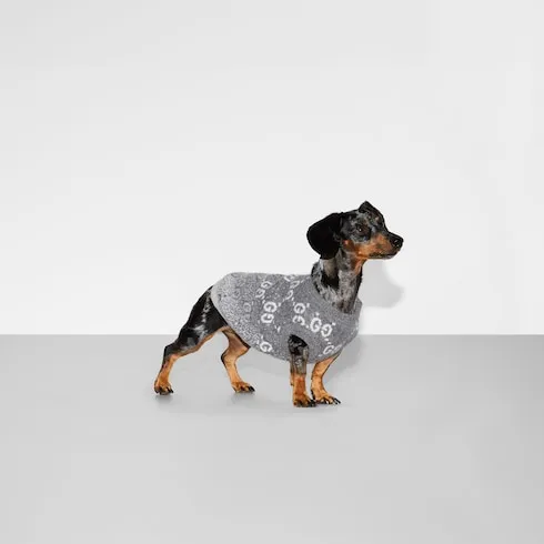 Wool Jacquard Pet Jumper