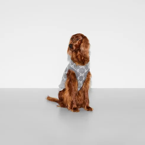 Wool Jacquard Pet Jumper