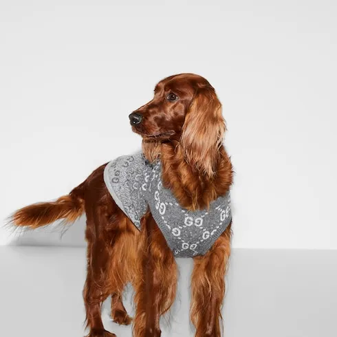 Wool Jacquard Pet Jumper