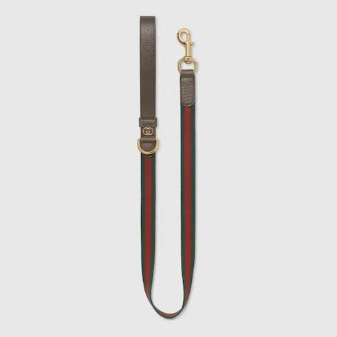 Large Web Pet Leash
