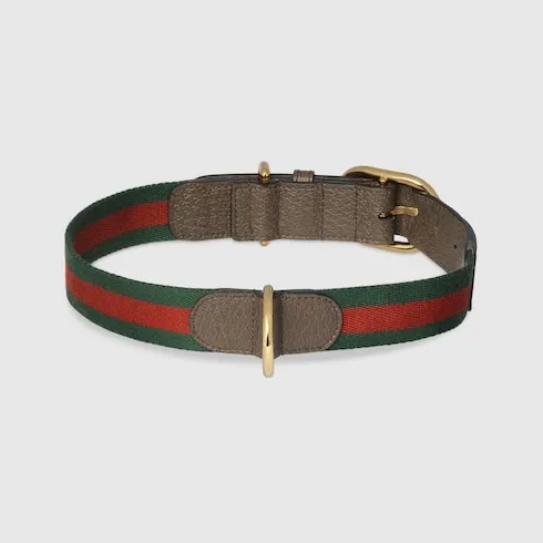 Large/Extra-Large Pet Collar