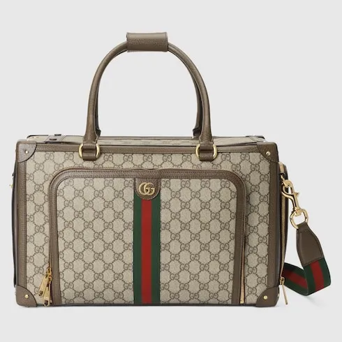 Small Gg Pet Carrier With Web