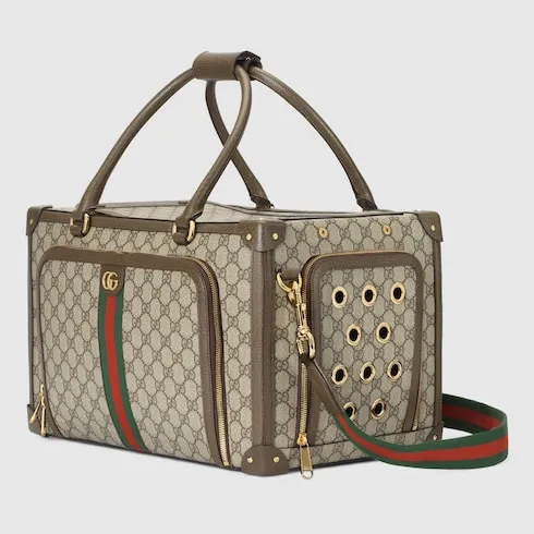 Small Gg Pet Carrier With Web