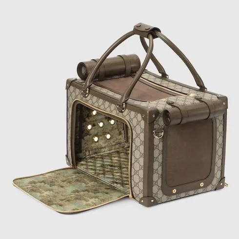 Small Gg Pet Carrier With Web