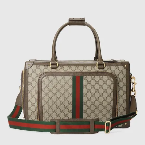 Small Gg Pet Carrier With Web