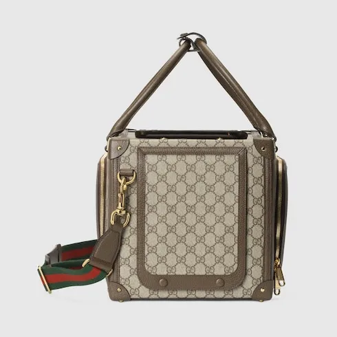 Small Gg Pet Carrier With Web