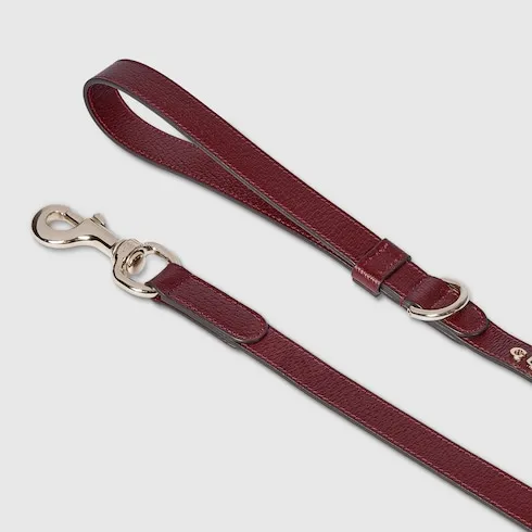 Small/Medium Leash