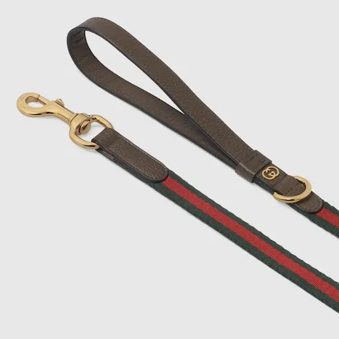 Small/Medium Pet Leash