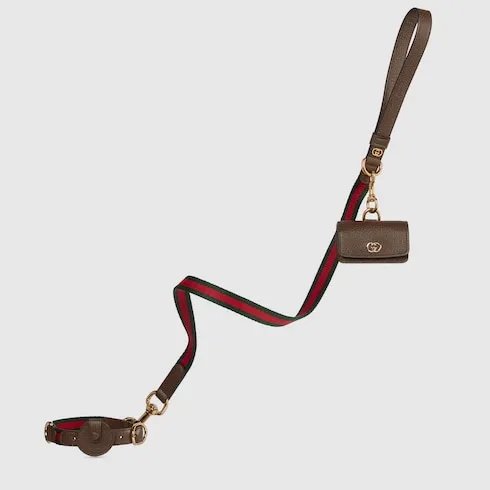 Small/Medium Pet Leash