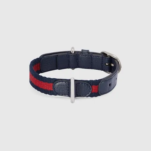 Small/Medium Pet Collar