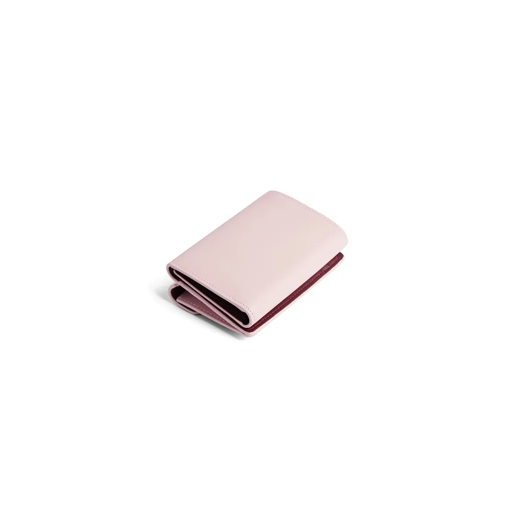 Envelope Mini Wallet