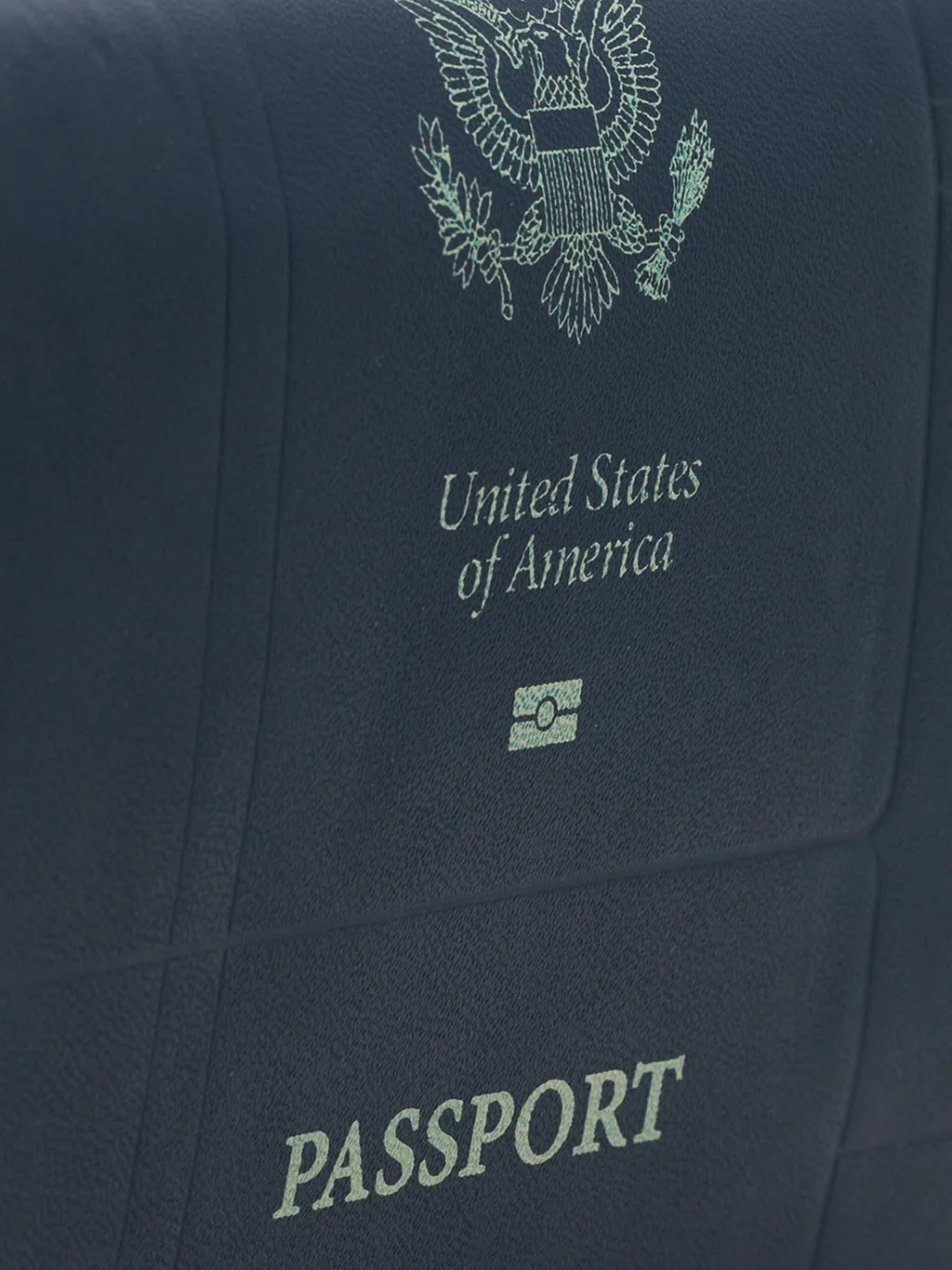 Passport Crossbody Bag