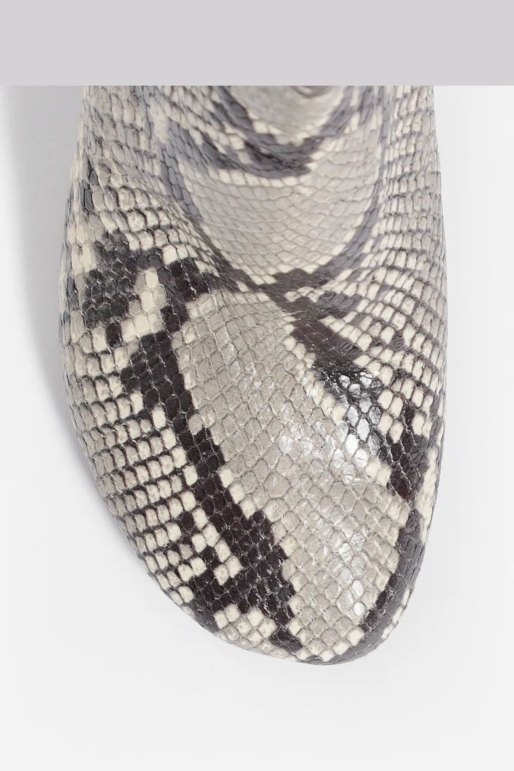 Python Ankle Heels