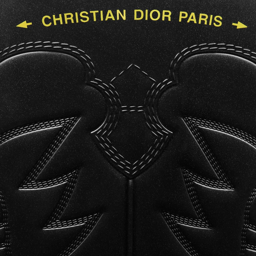 Christian Dior Logo Printed Pointed Toe Boots