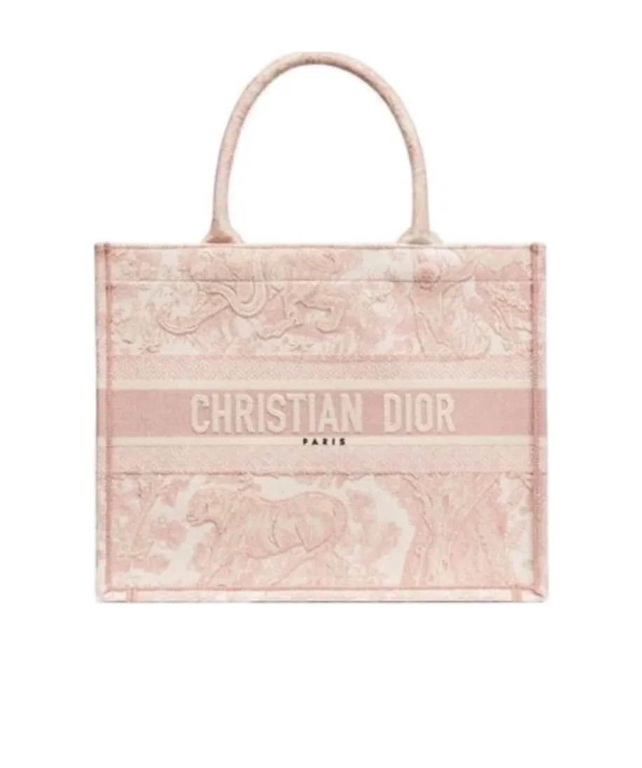 Small Dior Book Tote