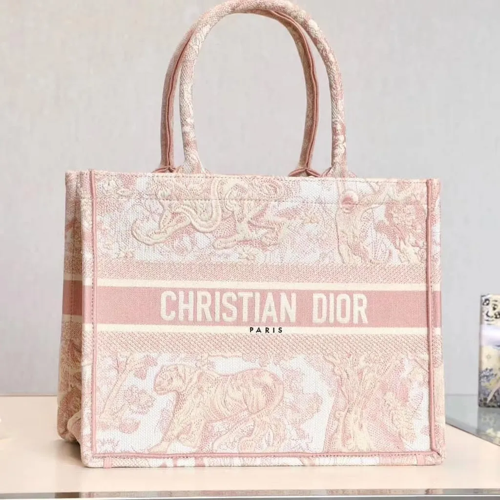 Small Dior Book Tote
