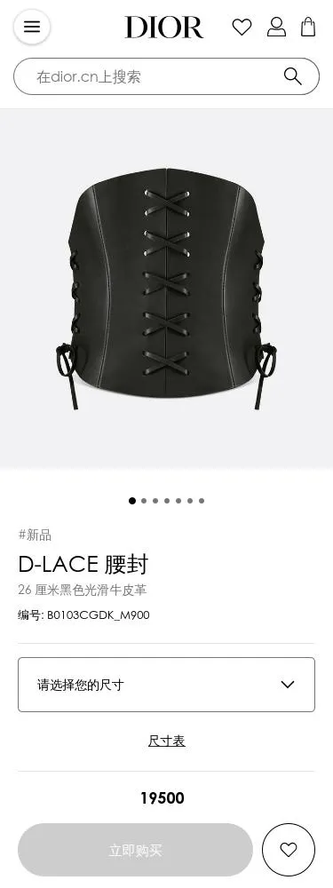 Corset Belt