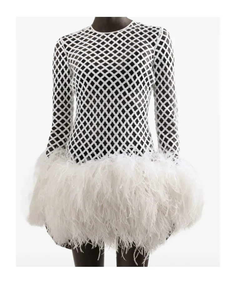 Sequin Embellished Mini Mesh Dress