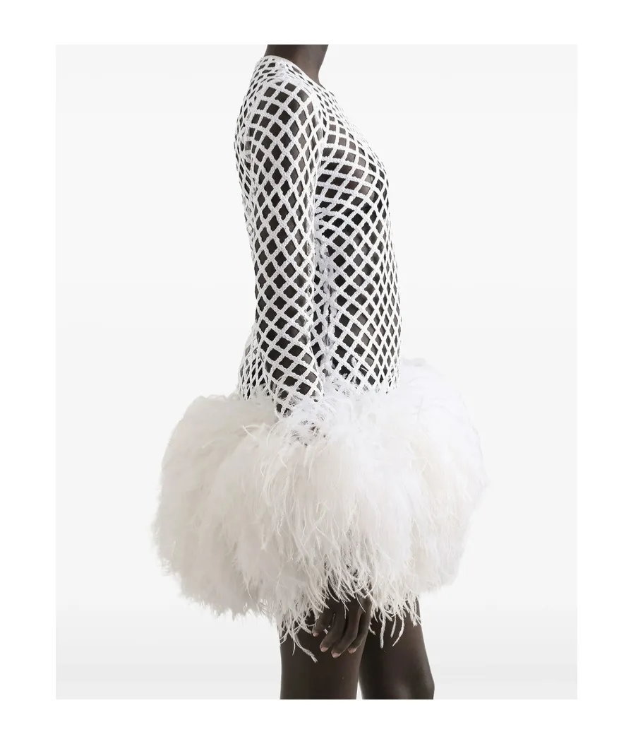 Sequin Embellished Mini Mesh Dress