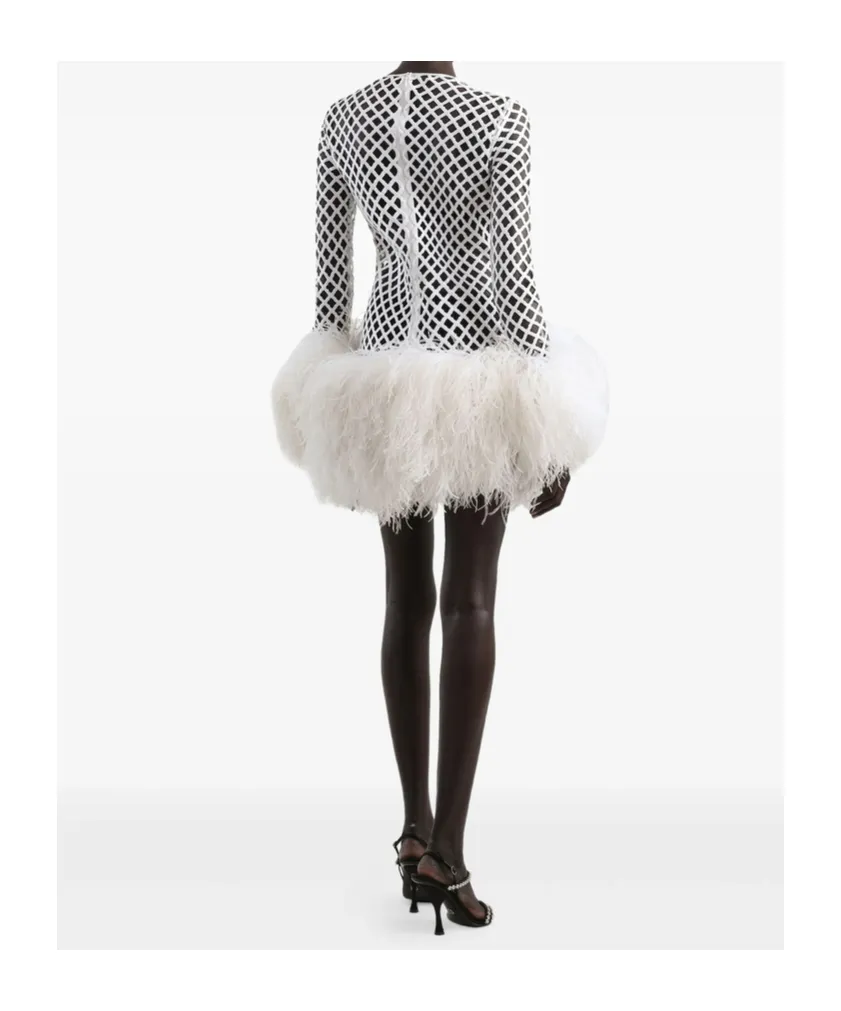 Sequin Embellished Mini Mesh Dress