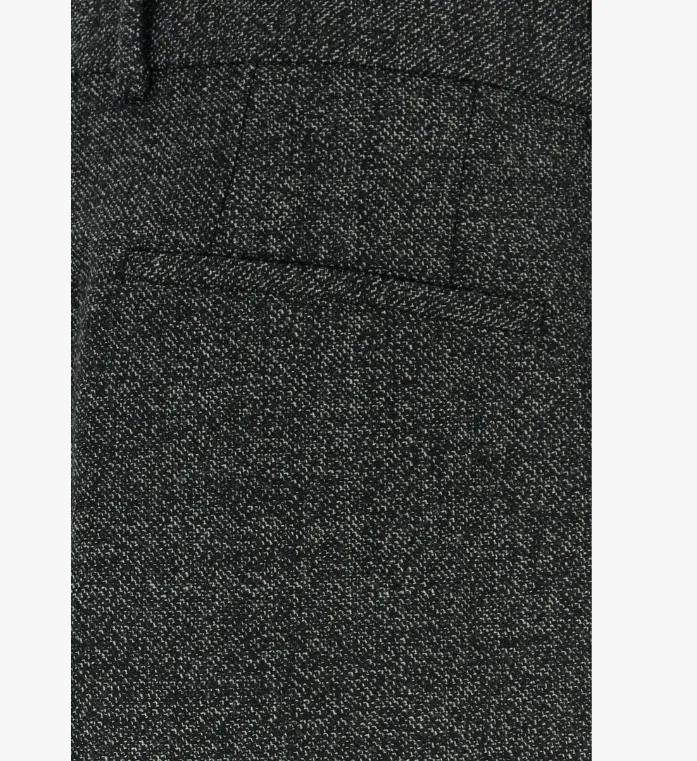 Pleated Pants