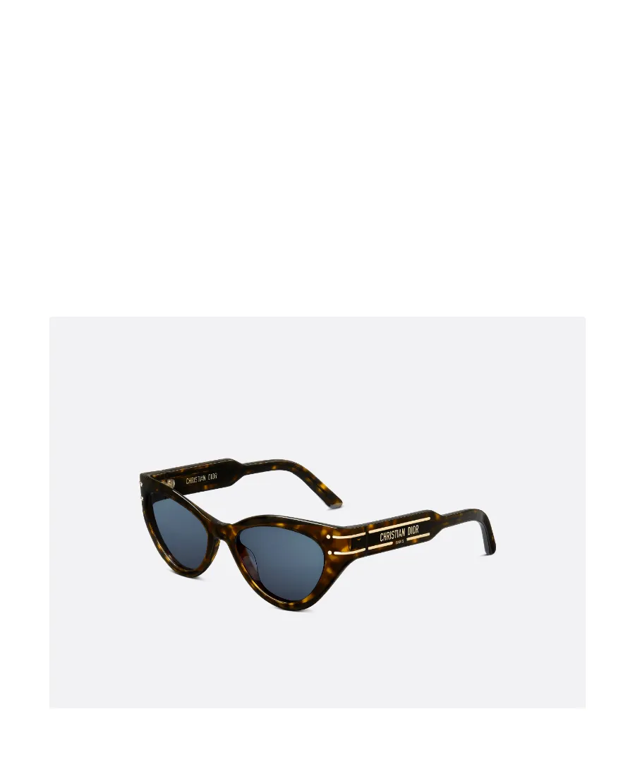 Diorsignature B7I