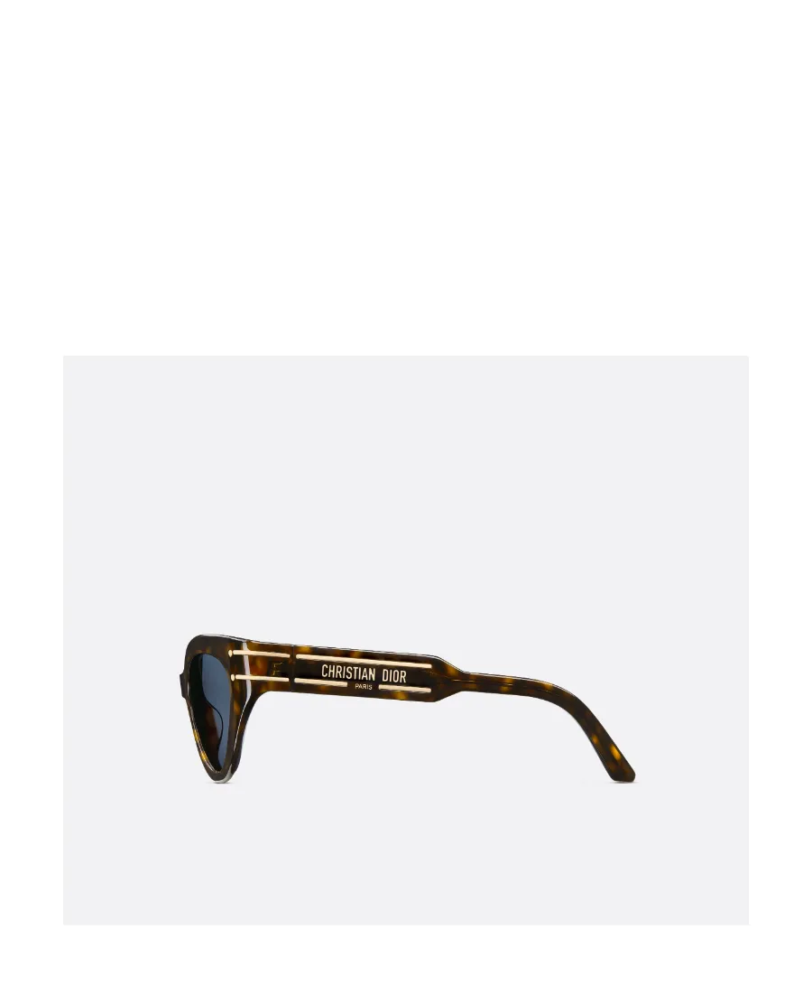 Diorsignature B7I