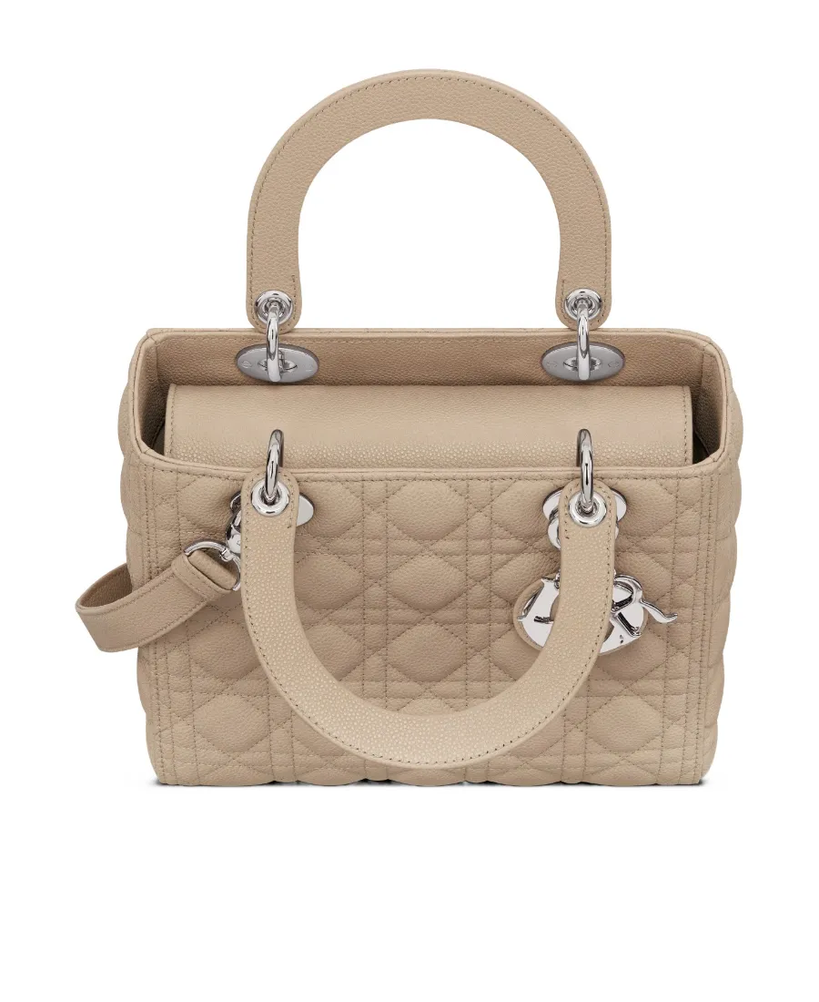 Medium Lady Dior Bag