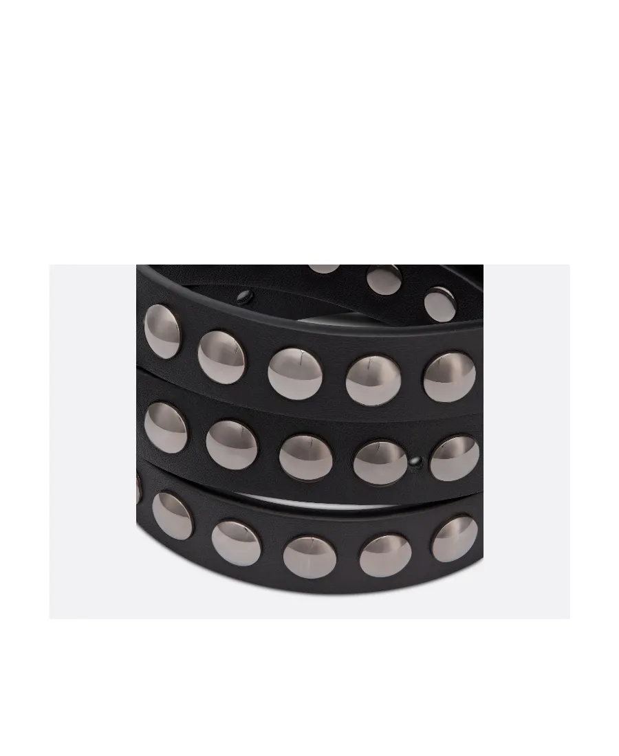 Diorpolytechnique Belt