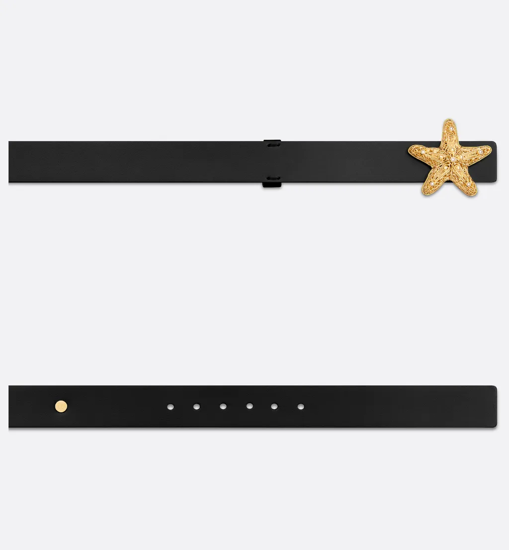 Cabinet De CuriositÉS Belt