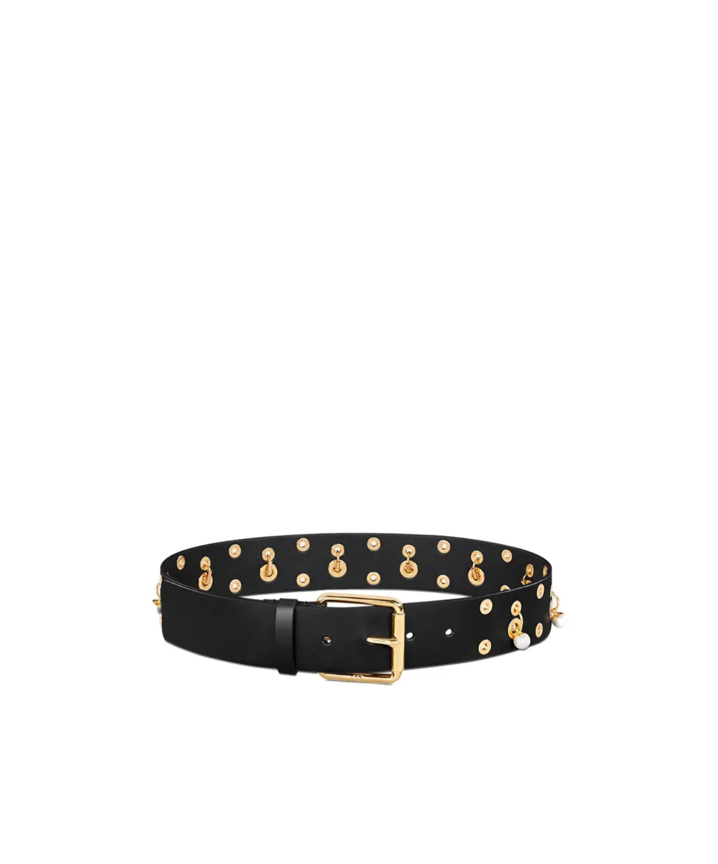 Diorevolt Belt