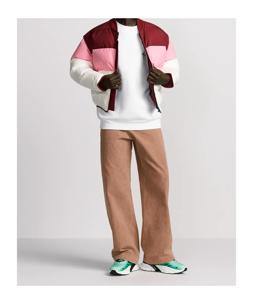 Dior And Lewis Hamilton Puffer Jacket With Removable Sleeves