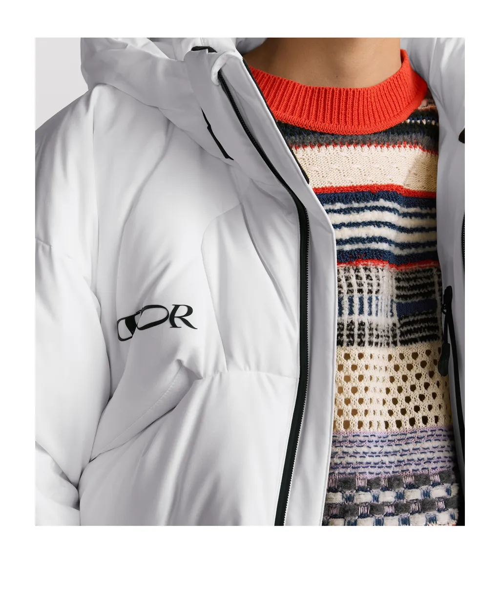 Dior And Descente And Lewis Hamilton Quilted Puffer Ski Jacket