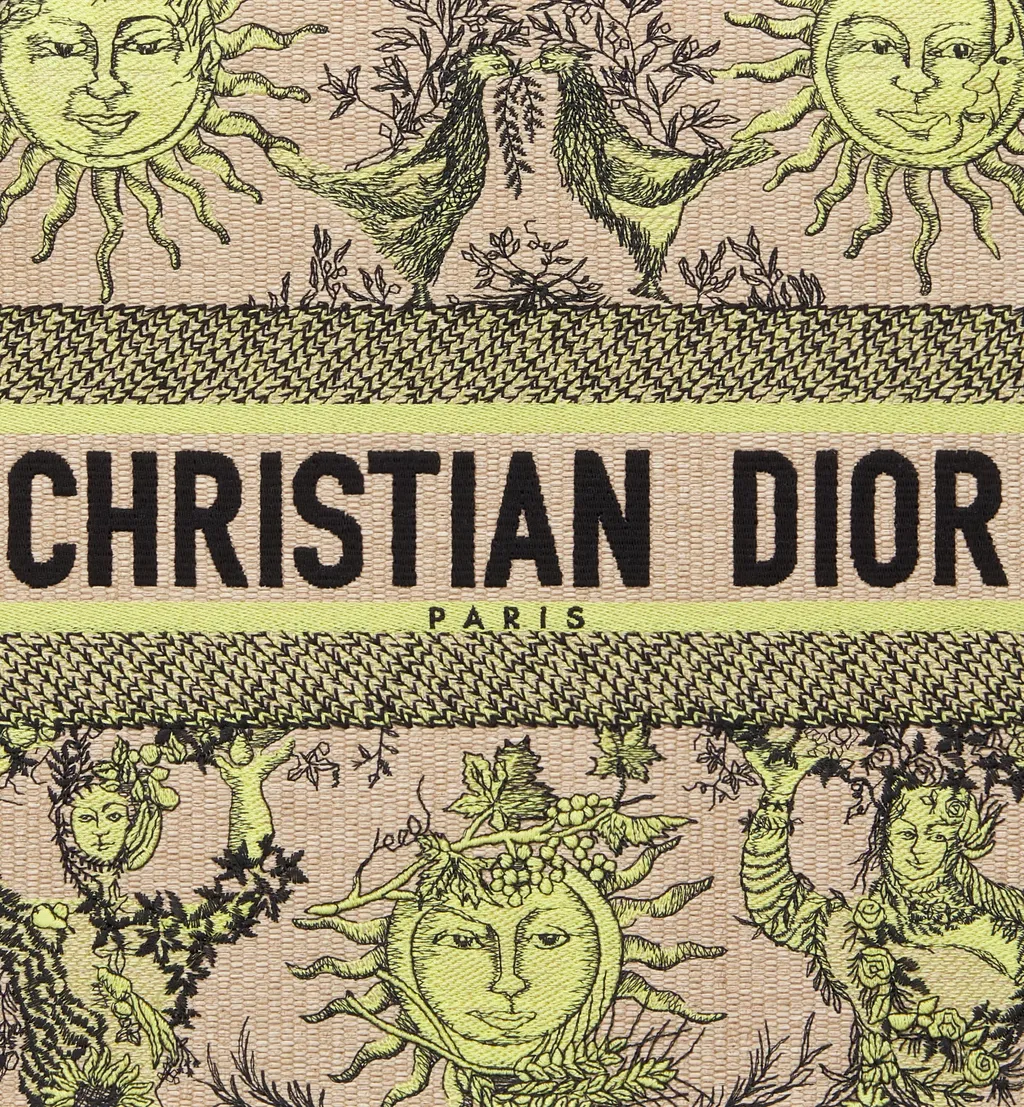 Medium Dioriviera Dior Book Tote Handbag