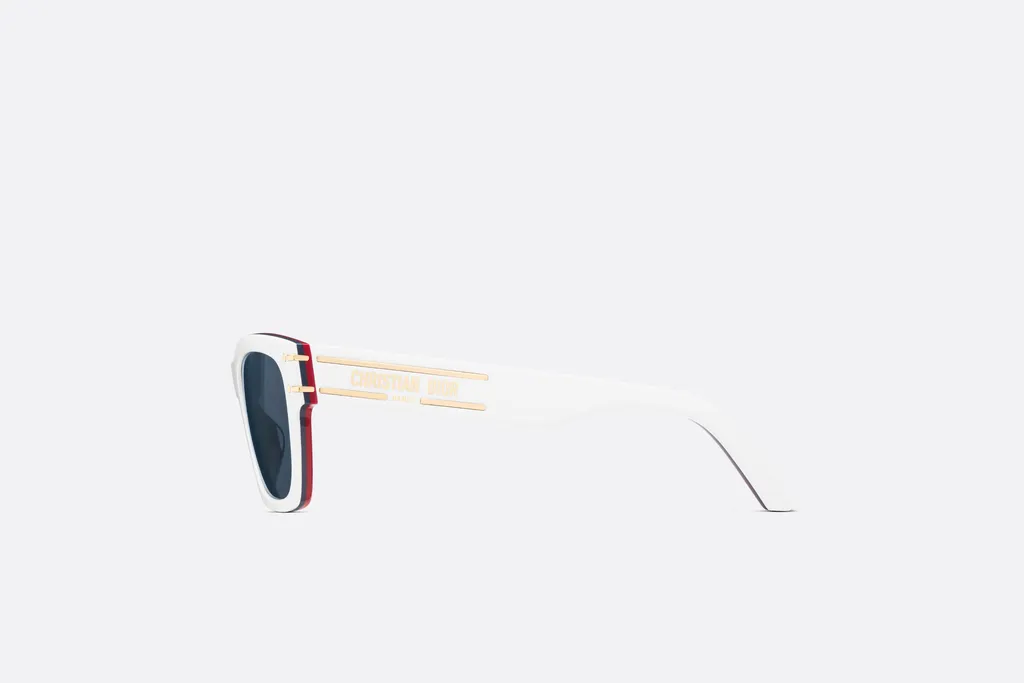 Diorsignature S3U Dioralps Sunglasses