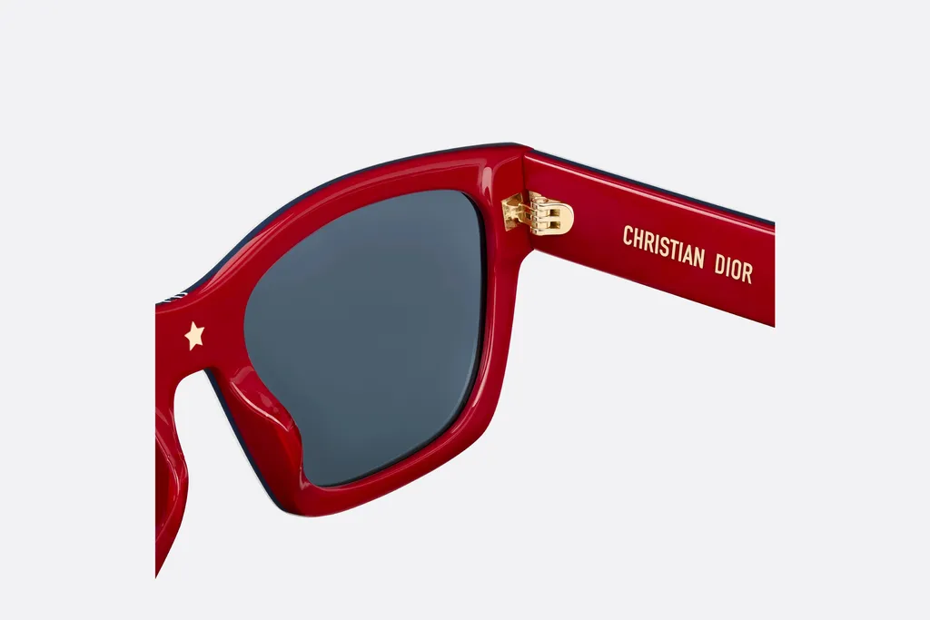Diorsignature S3U Dioralps Sunglasses